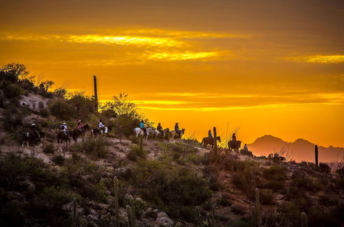 Photo 75 - Tanque Verde Ranch