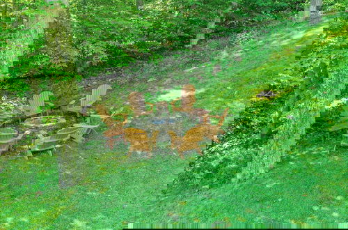Foto 5 - Canadian Day