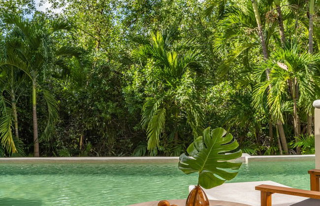 Hyatt Zilara Riviera Maya Adults Only All Inclusive - Foto 35