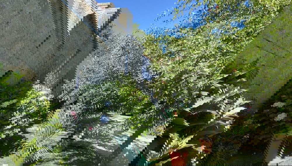 Imagem principal