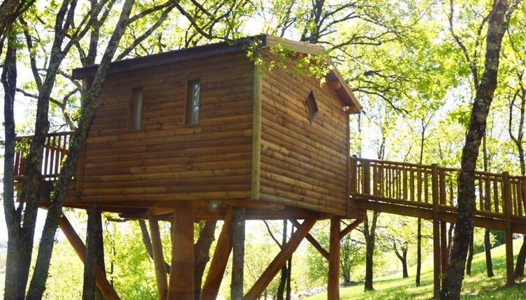 Photo 1 - Cabane - Loges de Carlat