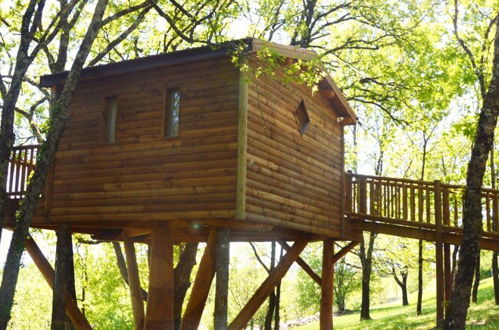 Photo 1 - Cabane - Loges de Carlat