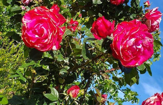 Agriturismo Il Poderino - Photo 21