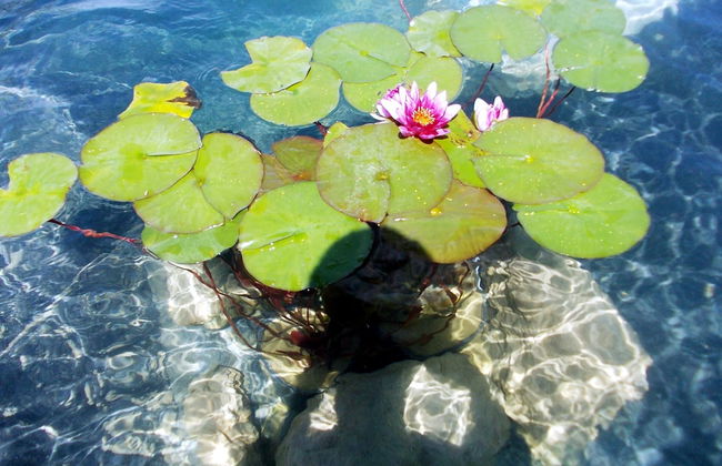 Agriturismo Il Poderino - Photo 29