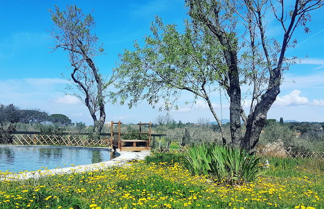 Agriturismo Il Poderino - Photo 20