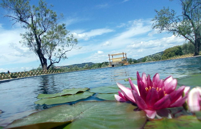 Agriturismo Il Poderino - Photo 27