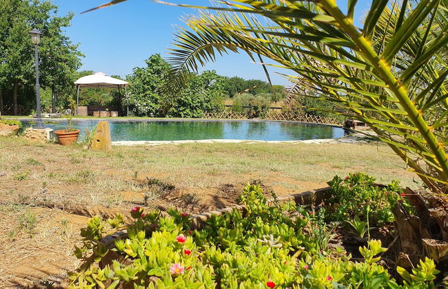 Agriturismo Il Poderino - Photo 16