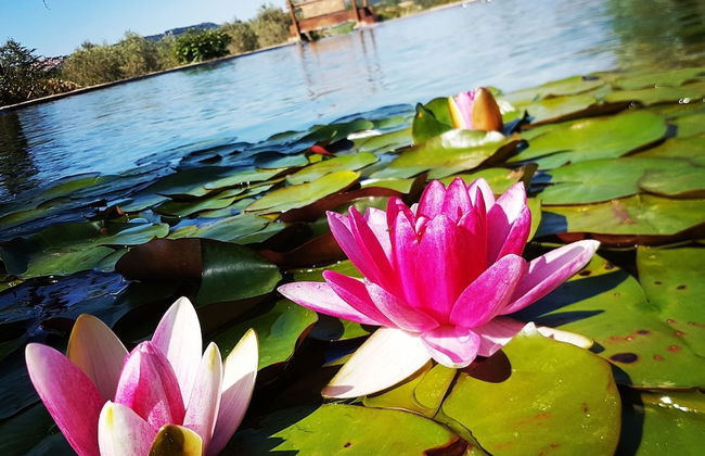 Agriturismo Il Poderino - Photo 19