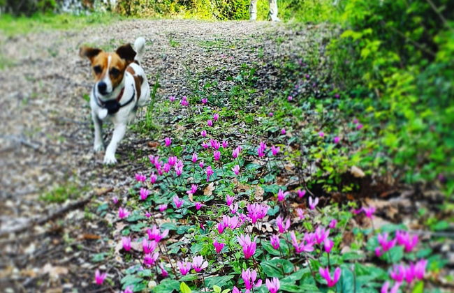 Agriturismo Il Poderino - Photo 32