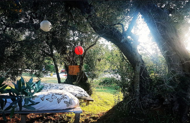 Agriturismo Il Poderino - Photo 22