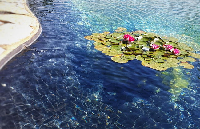 Agriturismo Il Poderino - Photo 28