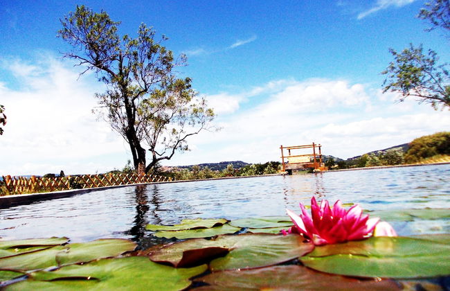 Agriturismo Il Poderino - Photo 1