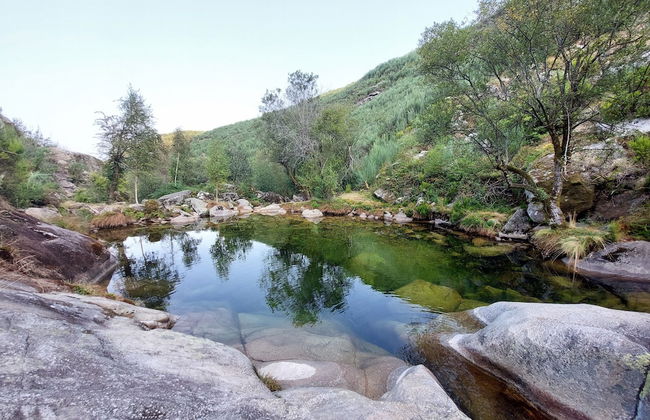 Quinta da Roda - Nature and Wellness - Foto 49