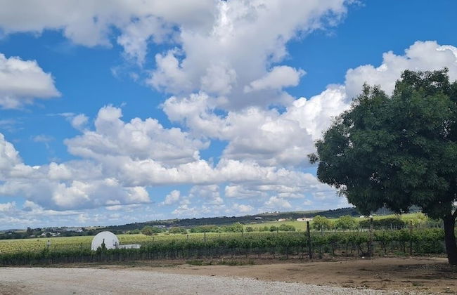 Herdade das Castas Nobres - Foto 50