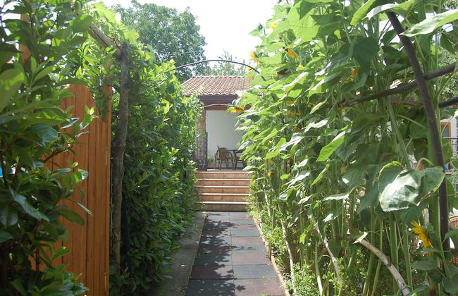 Rabbit - Foto 46