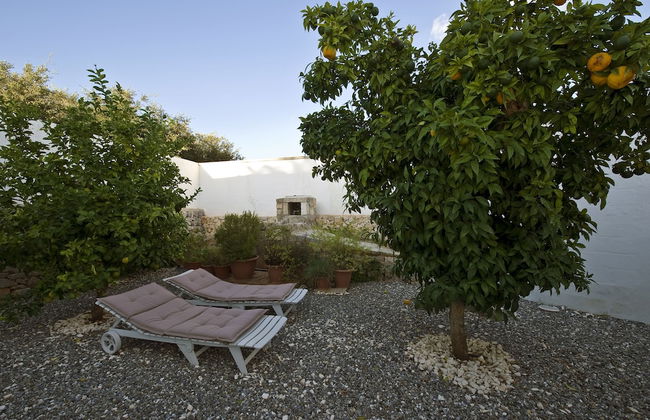 Masseria Il Mandorlo Fiorito - Foto 29