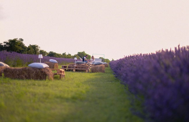 Belvilla by OYO Cotogno - Foto 21