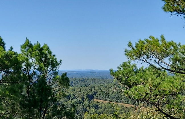 Hunters Hike - Photo 28