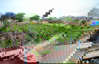 Photo 51 - Ecléctico Guadalupe