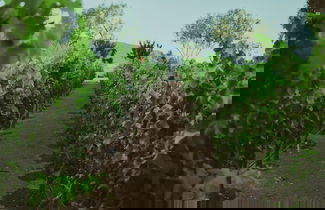 Photo 45 - Ecléctico Guadalupe