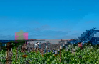 Photo 50 - Ecléctico Guadalupe