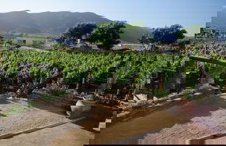 Photo 52 - Ecléctico Guadalupe