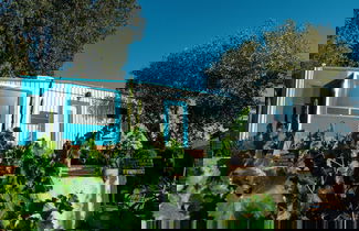 Photo 47 - Ecléctico Guadalupe