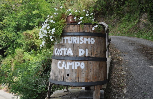 Agriturismo Costa di Campo - Foto 50