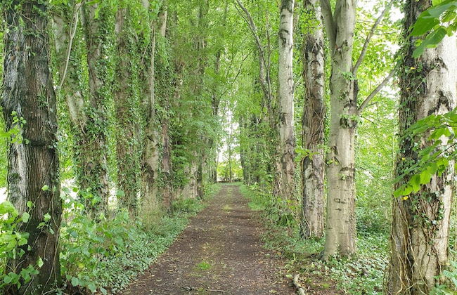 Carncairn - Foto 46