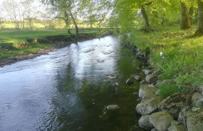 Carncairn - Foto 49
