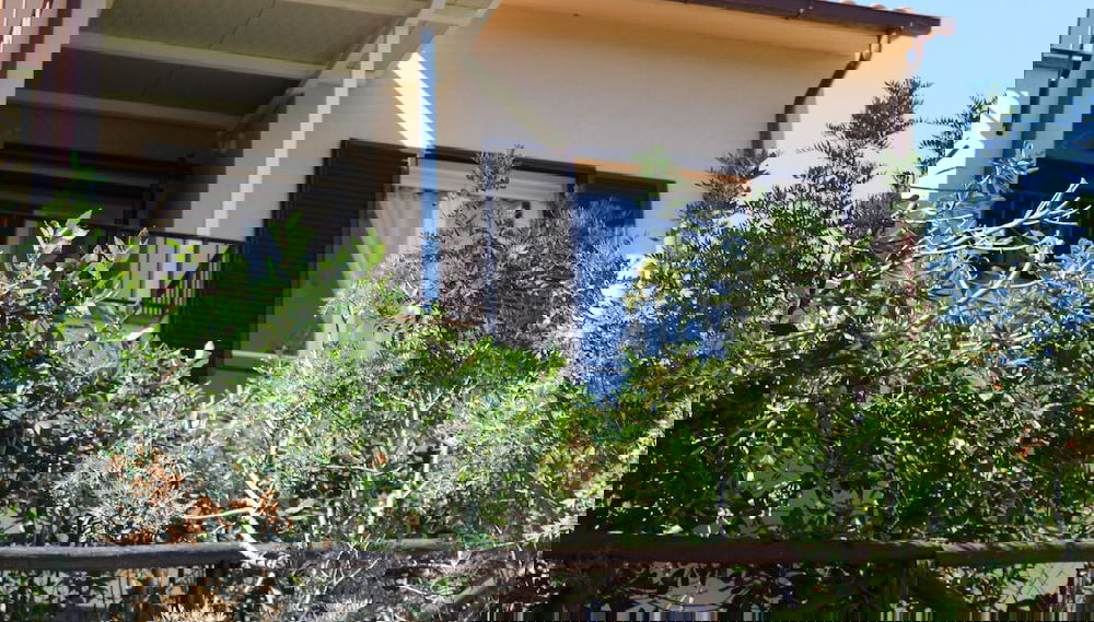 Imagem principal