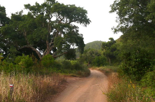 Photo 58 - Aldeia da Pedralva - Slow Village