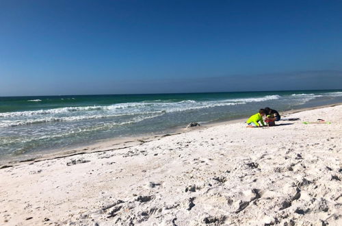 Foto 14 - Anna Maria Island Beach Palms 7A