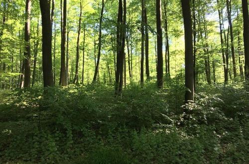 Photo 28 - Holiday Flat With Terrace in the Westerwald