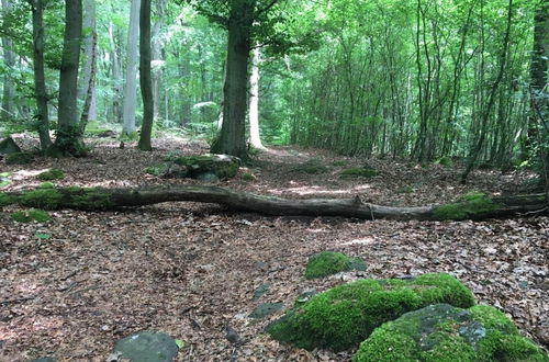 Photo 29 - Holiday Flat With Terrace in the Westerwald