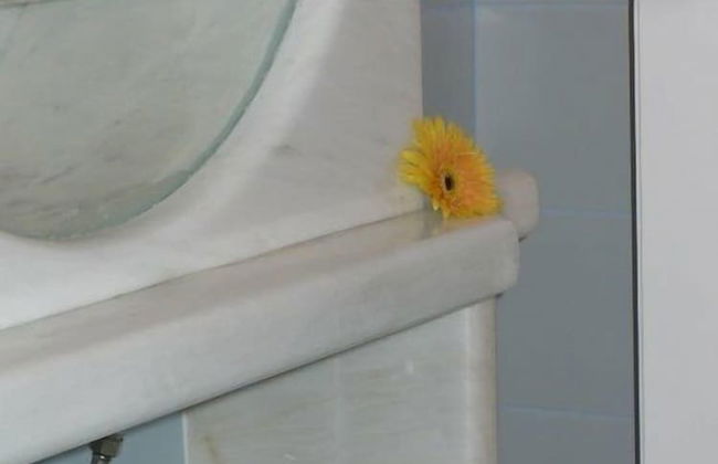 Flower House - Foto 9
