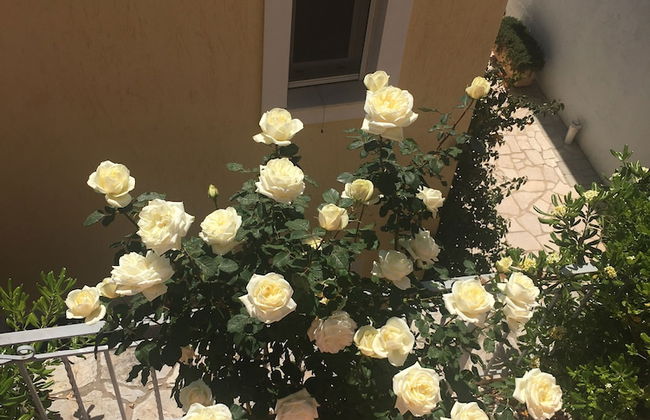 Flower House - Foto 18