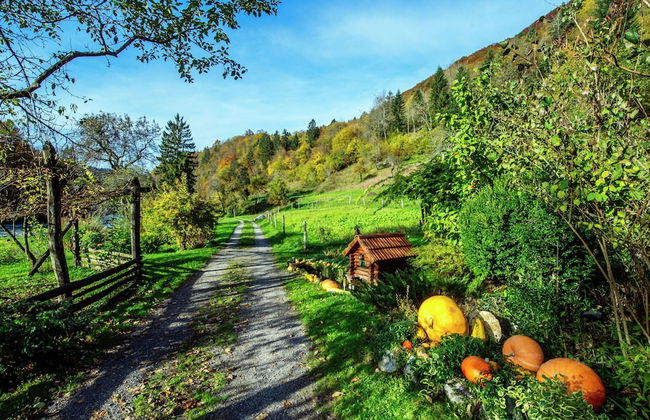 Serene Holiday Home in Dolus With Private Garden - Foto 28