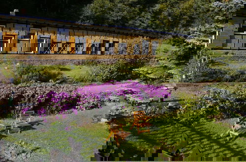 Photo 21 - Idyllic Studio near Forest