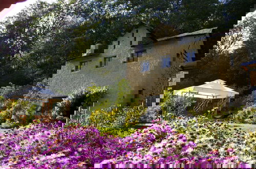 Photo 16 - Idyllic Studio near Forest
