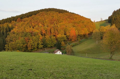 Photo 38 - A Holiday Home for 2 Persons in a Deer Park