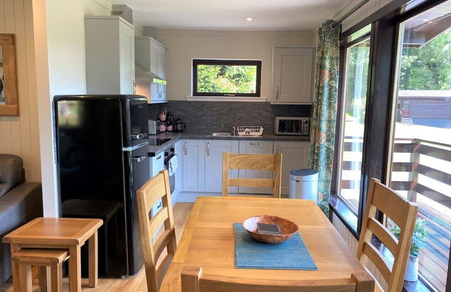Birch Lodge 21 With Hot Tub, Newton Stewart - Foto 11
