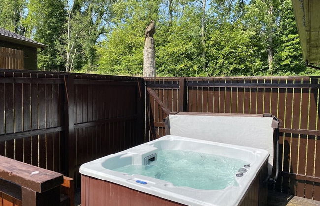 Birch Lodge 21 With Hot Tub, Newton Stewart - Foto 19