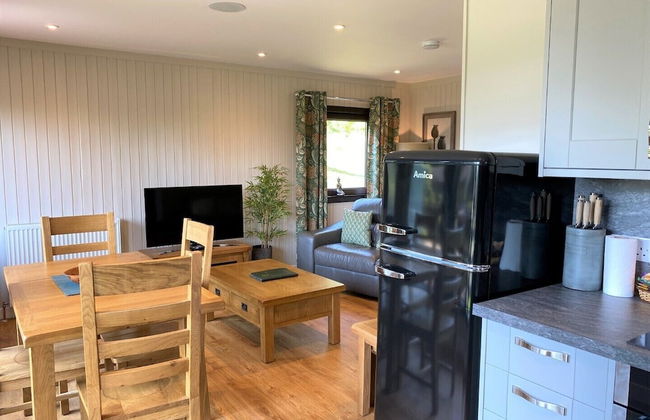 Birch Lodge 21 With Hot Tub, Newton Stewart - Foto 13