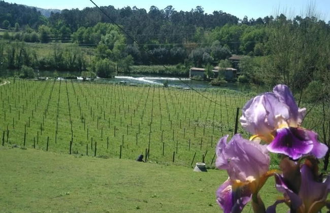 Quinta do Burgo - Foto 39