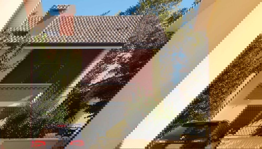 Imagem principal