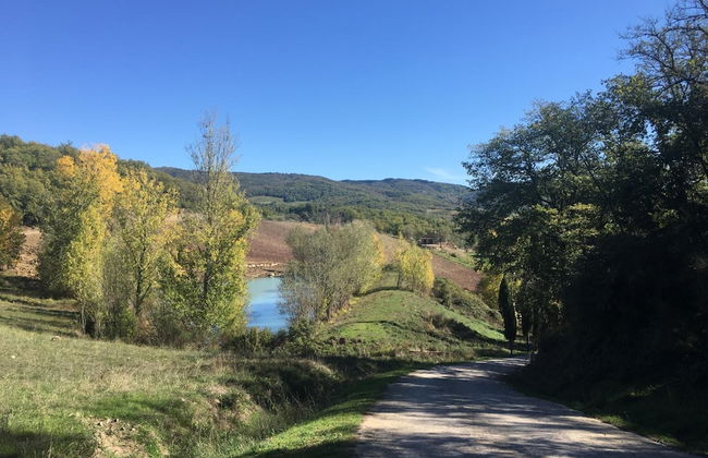 Podere Terreno alla Via della Volpaia - Foto 53