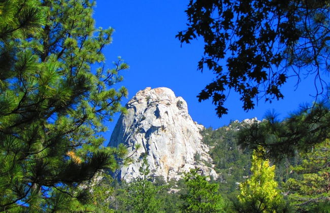 Always Inn Idyllwild Vacation Cottages - Photo 23