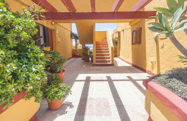 Las Cañas - Foto 2