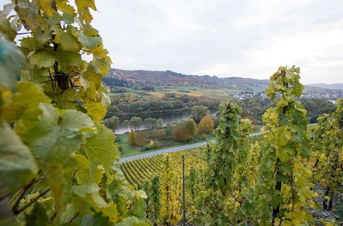 Photo 3 - Ferienwohnung-vinothek Keifer Kinheim